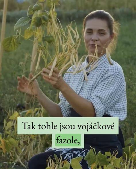 obrázek balení semen a jejich množství