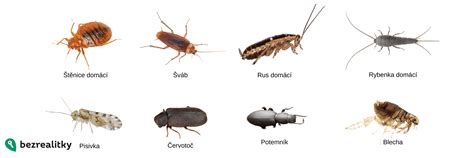 hmyz pro biologickou ochranu v zahradě