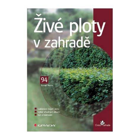 Hlavní rozestavění smrků v zahradě (ilustrativní design)