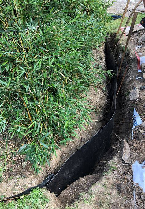 Protikořenová folie pro Phyllostachys