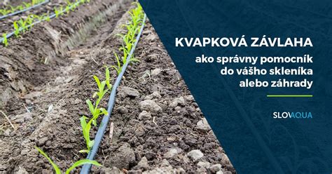 infografika o zpracování návrhu zahrady (do 8 slov)