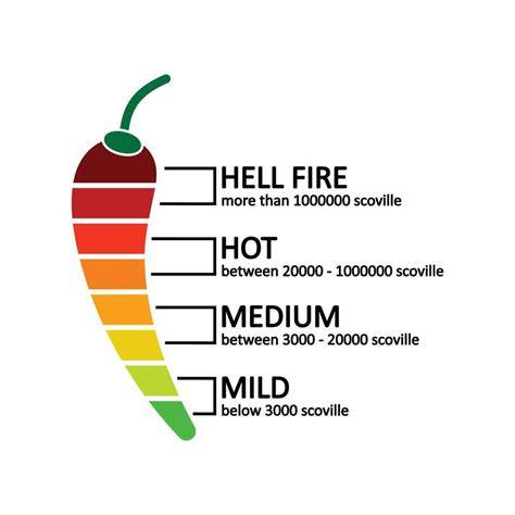 kolikrat presadit chilli infographic