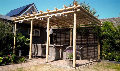 pergola s popínavou aktinídií